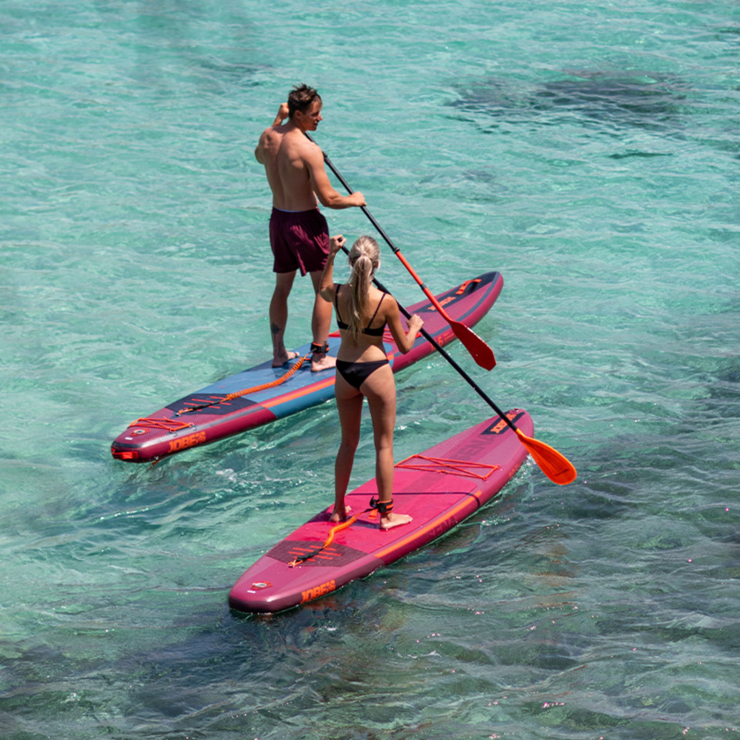 Paddleboards & Surfboards