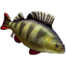 Perch 50cm Cushion Fish Soft Toy 56128