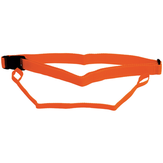 Swim Secure Waist Belt & Leash Set