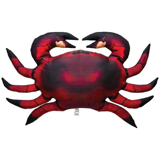 Common Crab Cushion 60cm pillows, toys or ornaments
