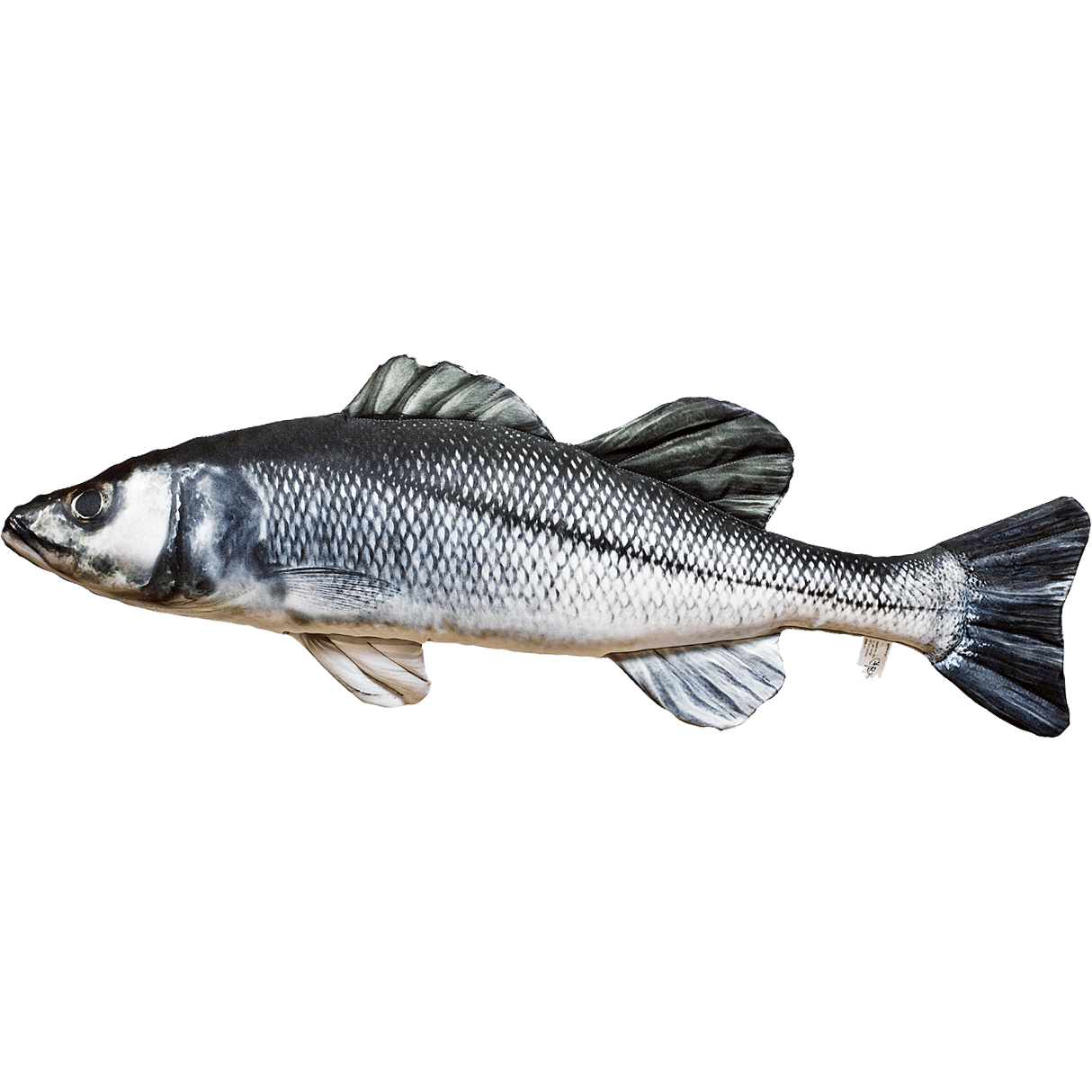 Sea Bass Fish Cushion Nauticalia 56136 71cm