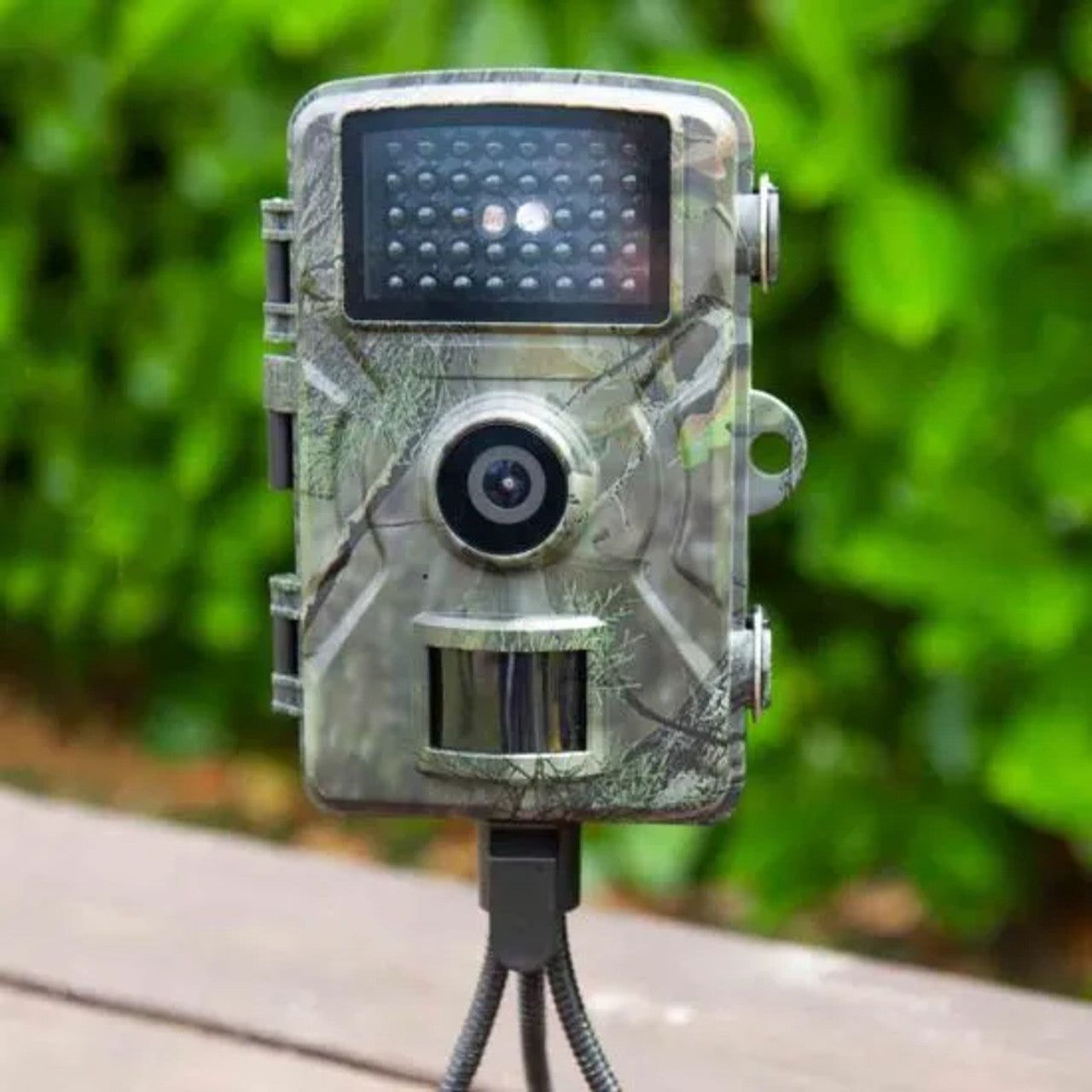 1080p 4k summit wildlife camera, night vision infra red sensors for recording animals in the wild